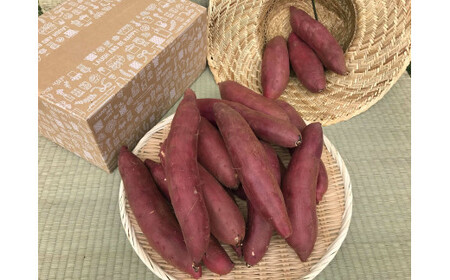 【先行予約】【令和8年12月発送】焼き芋好きのためのさつま芋　紅はるか5kg【茨城県共通返礼品・行方市産】（KBE-58）