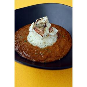 天然鳴門鯛カレー 210g×2個 (カレー レトルトカレー）