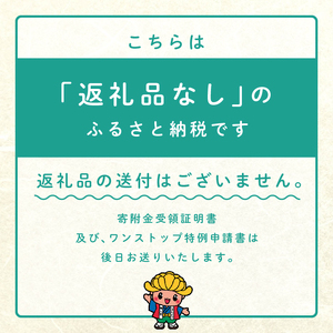 ふるさと応援寄附金 （返礼品なし）10,000円 寄付 福島県二本松市 二本松市 ふくしま 福島県【福島県二本松市】
