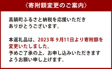 ＜アイスもなか 5種10個セット＞2か月以内に順次出荷【c592_sn_x3】 アイス 自家製 セット
