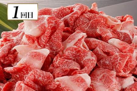 【定期便３回】熊本代表 お肉 【 くまもとあか牛・馬肉・くまもと黒毛和牛 】 お楽しみ 定期便 《 あか牛切り落とし約800g・馬肉バラエティ約540g・黒毛和牛すき焼き用400g 》 【 毎月届く 3ヶ月 黒毛和牛 牛肉 馬刺し ハンバーグ 熊本県 多良木町 定期配送 】 092-0010