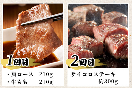 【定期便6回】佐賀牛 食べ比べ 定期便 6ヶ月 6ヵ月 焼肉 焼き肉 すきやき すき焼き しゃぶしゃぶ サイコロステーキ ステーキ L-39