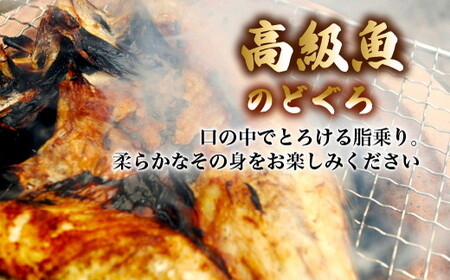 【極】日本海産のどぐろ開き　800ｇ級×1尾  富山 魚津 浜浦水産