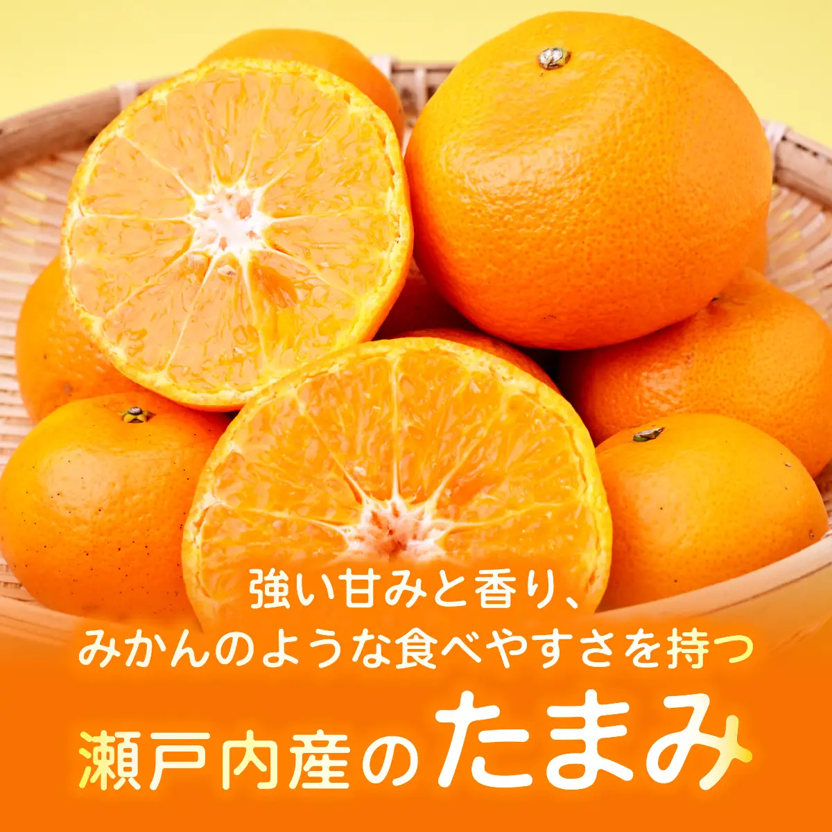 【先行受付】たまみ L～Sサイズ 2.5kg みかん