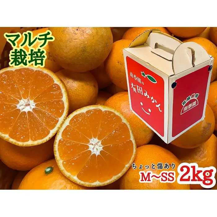 定期便 手さげ箱 セット 中生 有田みかん ＆ はっさく 全2回 南泰園