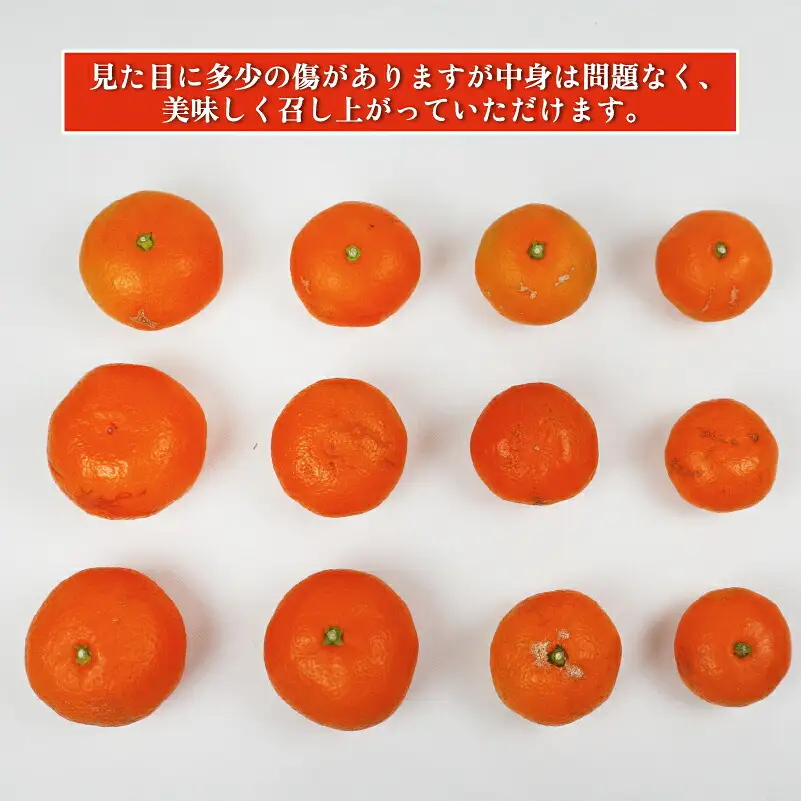 訳あり みかん 南柑20号 9kg まる玉農園 ﾐｶﾝﾐｶﾝﾐｶﾝﾐｶﾝﾐｶﾝﾐｶﾝﾐｶﾝﾐｶﾝﾐｶﾝﾐｶﾝﾐｶﾝﾐｶﾝ B010-172001