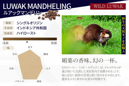[№40-3241]幻のコーヒー　コピ・ルアック 100g【粉に挽く】