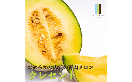 メロンセット 富良野産 赤肉・青肉メロン 大玉 丸山農園【2玉 4kg以上】【先行予約】