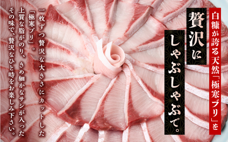 天然極寒ぶり ブリしゃぶセット 【400g（3～4人前）】_A028-0953