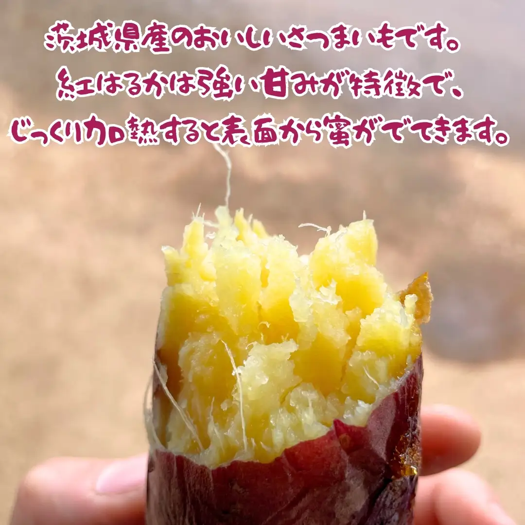 茨城県産 さつまいも 紅はるか 5kg （ 土付き サイズ無選別 ）【2026年11月頃から発送開始】 べにはるか いも 茨城 甘い おいしい 美味しい 訳あり 規格外 不揃い