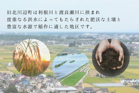 【令和7年産】北川辺こしひかり　精米10kg