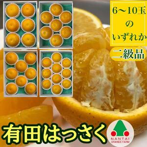 定期便 貯蔵 はっさく ＆ ハウス せとか 全2回 南泰園 二級品 セット みかん