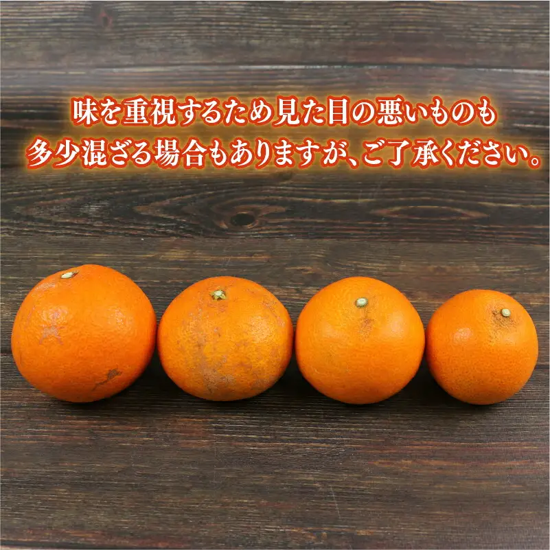 【紅まどんなと同品種】 愛果28号 まどんな 2.5kg 兵頭農園 B010-055002