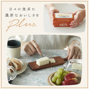 カルピス(株)特撰バター（100g×2本）【有塩】006-022