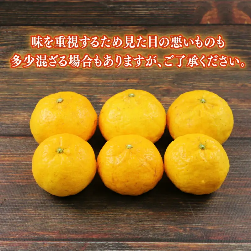 媛小春 2.5kg 柑橘 兵頭農園 柑橘 B010-055004