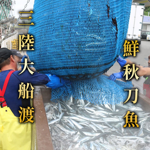 【期間限定】 訳あり 鮮さんま 約2.2kg 冷蔵 サンマ 