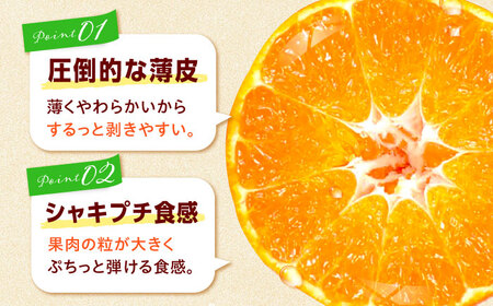 みかん 甘平 青秀 約3kg 3L-Lサイズ フルーツ 果物 みかん BJCG005