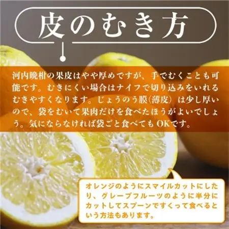 【2027年3月より順次発送】熊本県産　ジューシーオレンジ　約10kg(益城町)【1437713】