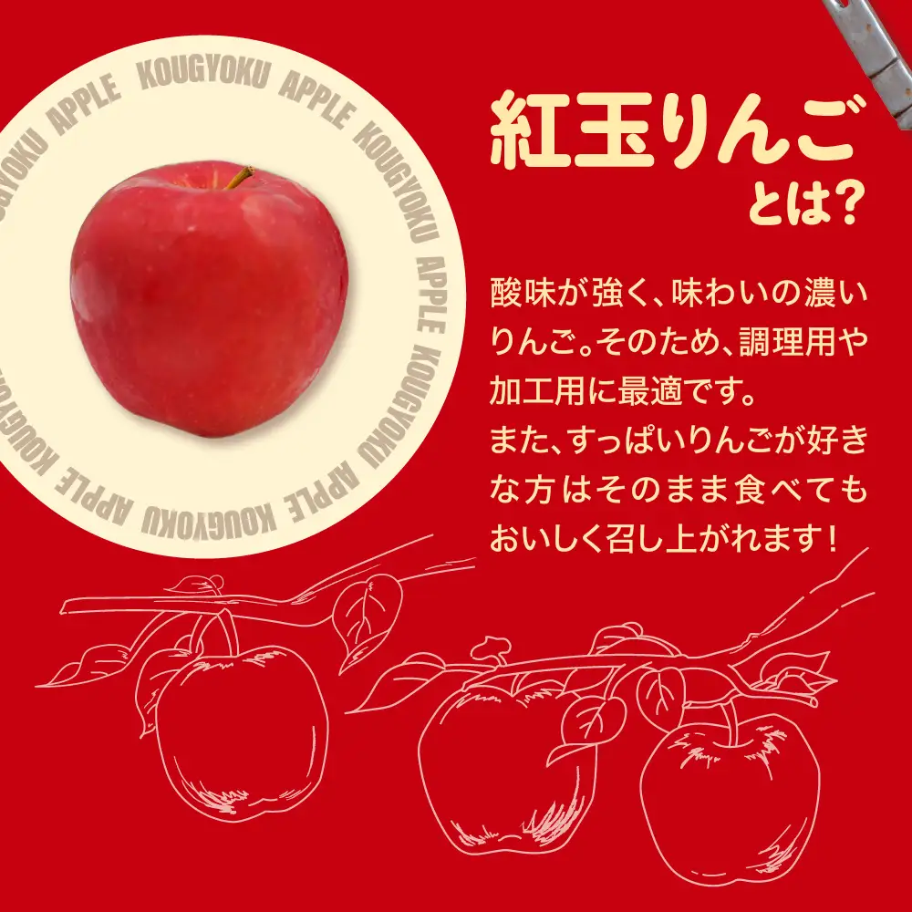 紅玉　訳あり りんご 約10kg 青森県産 りんご