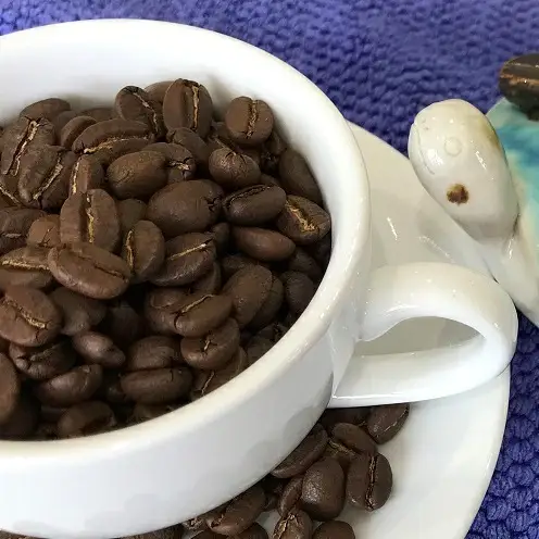 【焙煎工房ゆうばんた珈琲】ブレンドコーヒー（粉）3点セット ☆ 沖縄 読谷村 珈琲 540ｇ