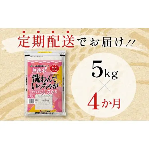 【4ヶ月定期便】宮崎県産 無洗米 コシヒカリ 5kg×4 合計20kg＜18-16a＞ごはん ご飯 白米