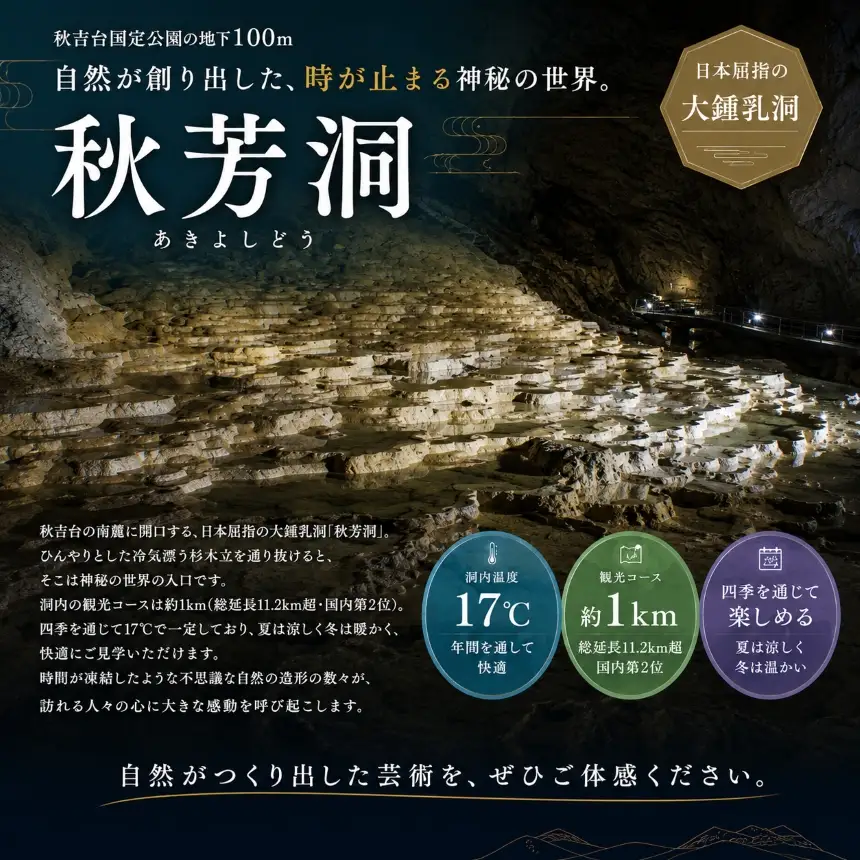 三洞周遊共通チケット「秋吉台三洞物語」（大人）
