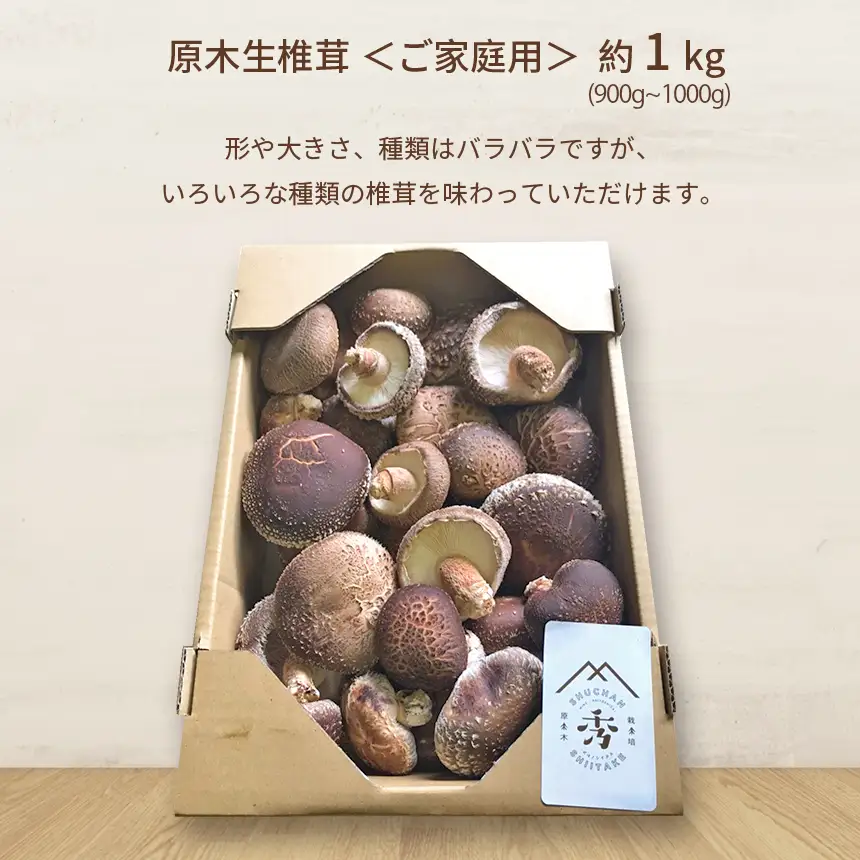 肉厚椎茸 原木生椎茸 (大きさ・種類いろいろ)
