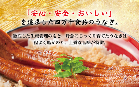 26-361．＜四万十食品＞うなぎ蒲焼　ハーフ6袋／ＣＤ