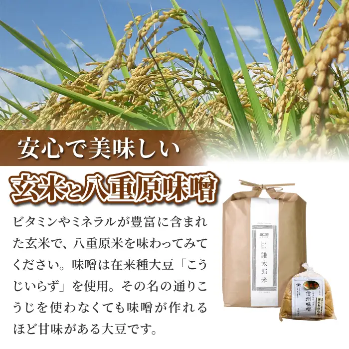 【令和8年産 新米】八重原産コシヒカリ 玄米「謙太郎米」5kgと 大桂商店 信州味噌「八重原味噌」500gのセット｜特別栽培米（減農薬・減化学肥料栽培）【太陽と大地】