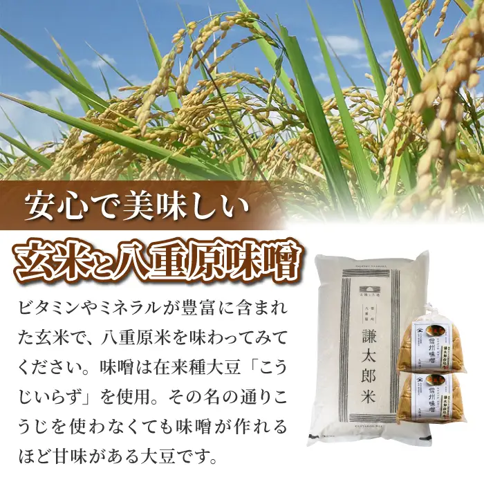 【令和8年産 新米】八重原産コシヒカリ 玄米「謙太郎米」10kgと 大桂商店 信州味噌「八重原味噌」1kg セット｜特別栽培米（減農薬・減化学肥料栽培）【太陽と大地】