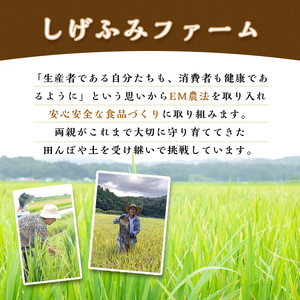 isa479《毎月数量限定》あんしん小麦粉・中力粉(約500g×4袋・計約2kg） 小麦粉 小麦 中力粉 中力小麦粉 鹿児島県 伊佐市 お菓子作り 料理 有機肥料 農薬不使用【しげふみファーム】