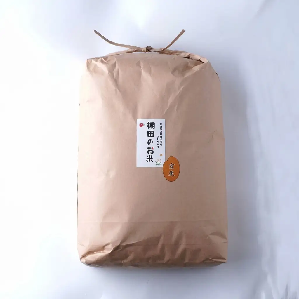 【定期便】棚田米 コシヒカリ 玄米 10kg×12回 コシヒカリ