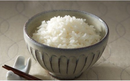 【6ヶ月定期便】 令和8年産 白米 10kg×6ヶ月お届け 品種 たかたのゆめ 陸前高田市 オリジナル ブランド米 冷めてもおいしい