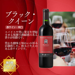 ワイン 岩の原ワイン ブラック・クイーン ( 赤ワイン 720ml ) お酒 岩の原 ふるさと納税 酒 新潟 上越