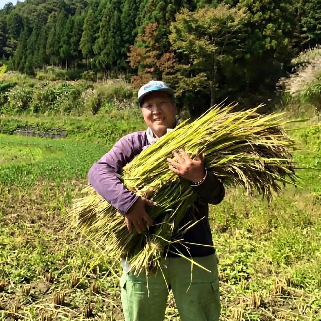 菊いも 上越産100% 乾燥きく芋 6袋35g×6 菊いも