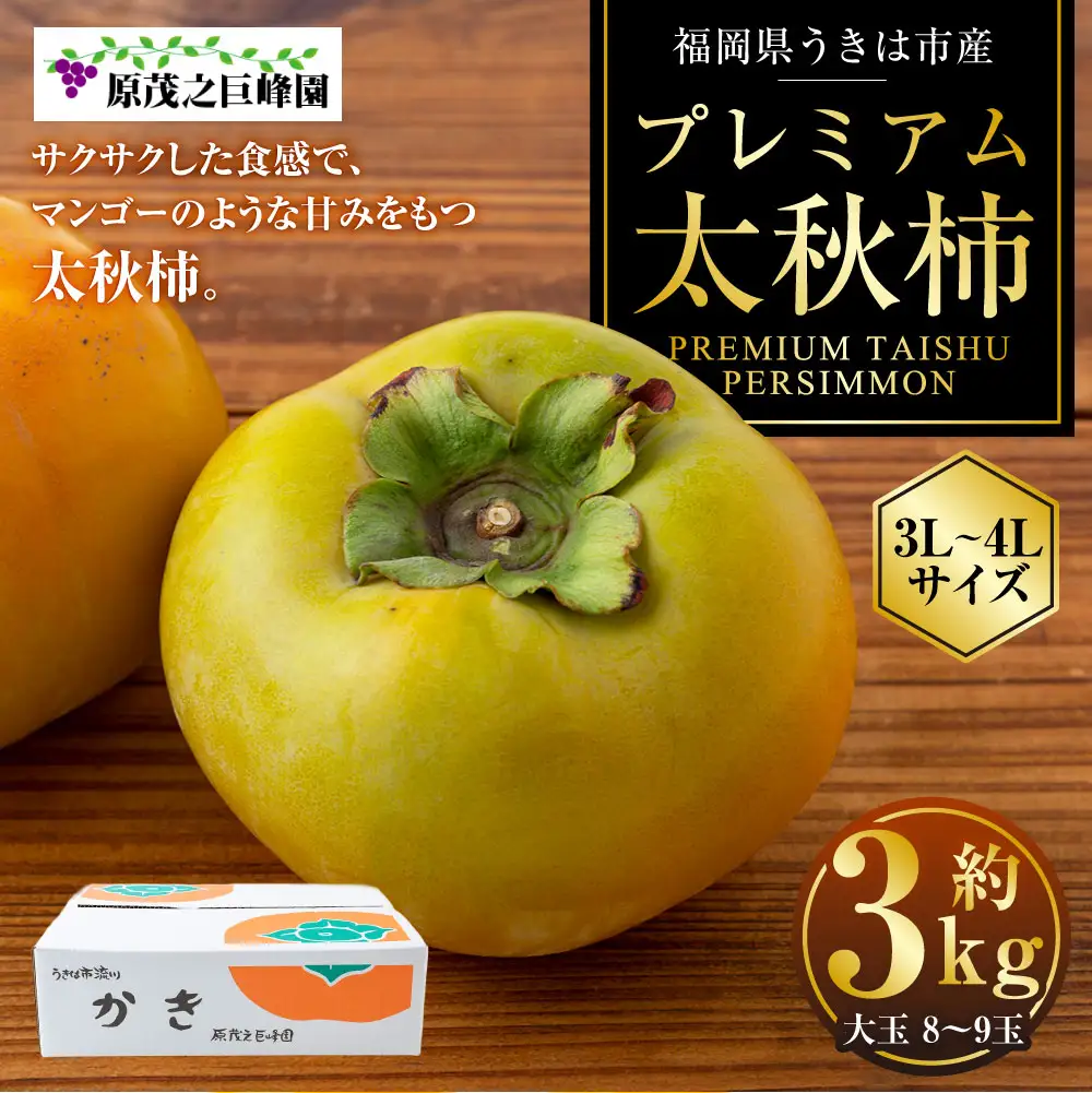 【先行予約】 原茂之巨峰園 プレミアム 太秋柿 大玉 8玉から9玉 （約3kg） 【2026年10月中旬から11月上旬 出荷予定】 柿 かき カキ 太秋 たいしゅう 完全甘柿 果物 くだもの フルーツ 果実 ジューシー 流川ブランド お取り寄せ 福岡県 うきは市