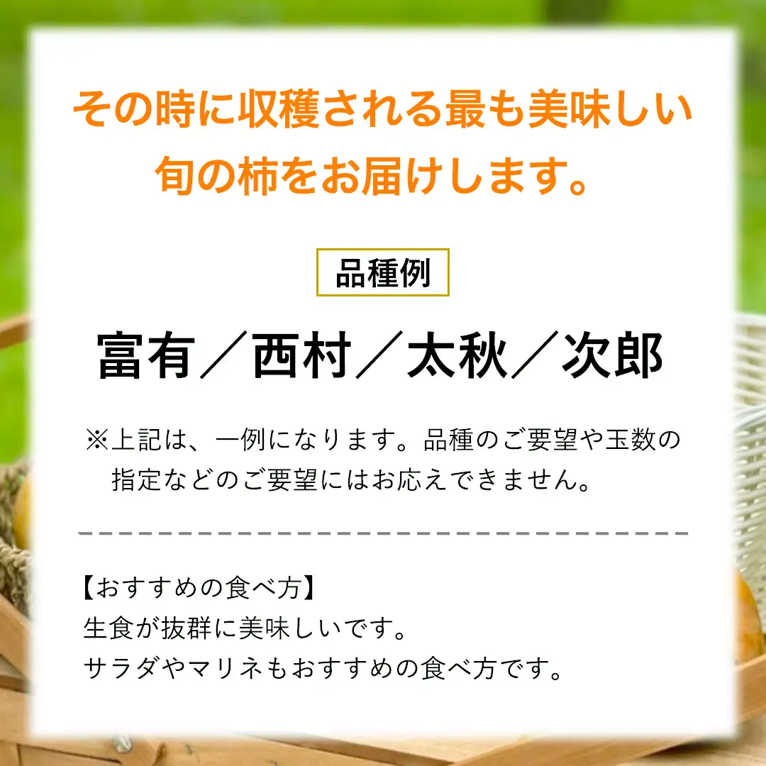 【 先行予約 】 品種おまかせ 採れたて天使の 甘柿 約 3kg（ 茨城県共通返礼品：かすみがうら市 ） 【 2026年10月頃発送 】 