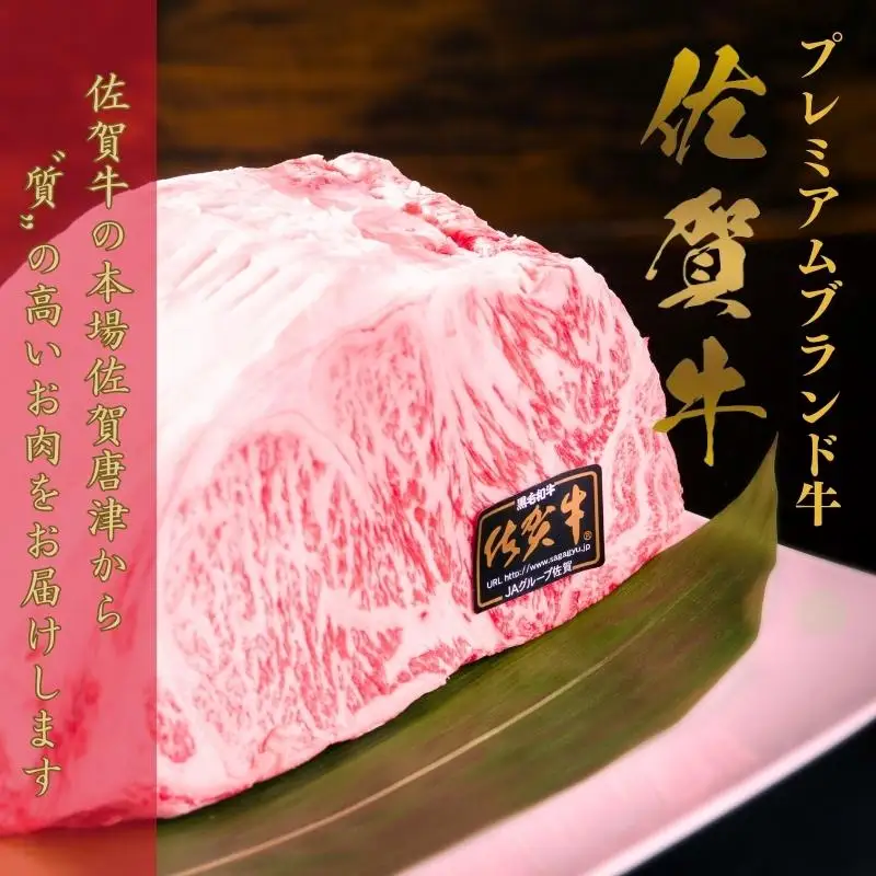 《A5～A4等級》佐賀牛 ロースステーキ(サーロイン・リブロース) 約200g×2枚(合計約400g) ステーキ