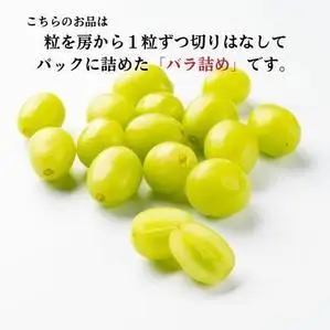 【先行予約】シャインマスカット 粒 バラ詰め 約1kg