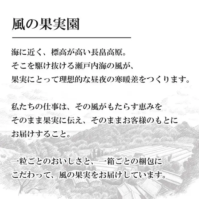 長畠高原苺園 朝採り大粒いちご【1月より順次出荷・お届け日指定不可】 いちご