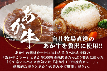 熊本和牛 あか牛 カレー 詰め合わせ ≪あか牛カレー180g×2・あか牛100％挽肉カレー220g×2≫ 046-0625