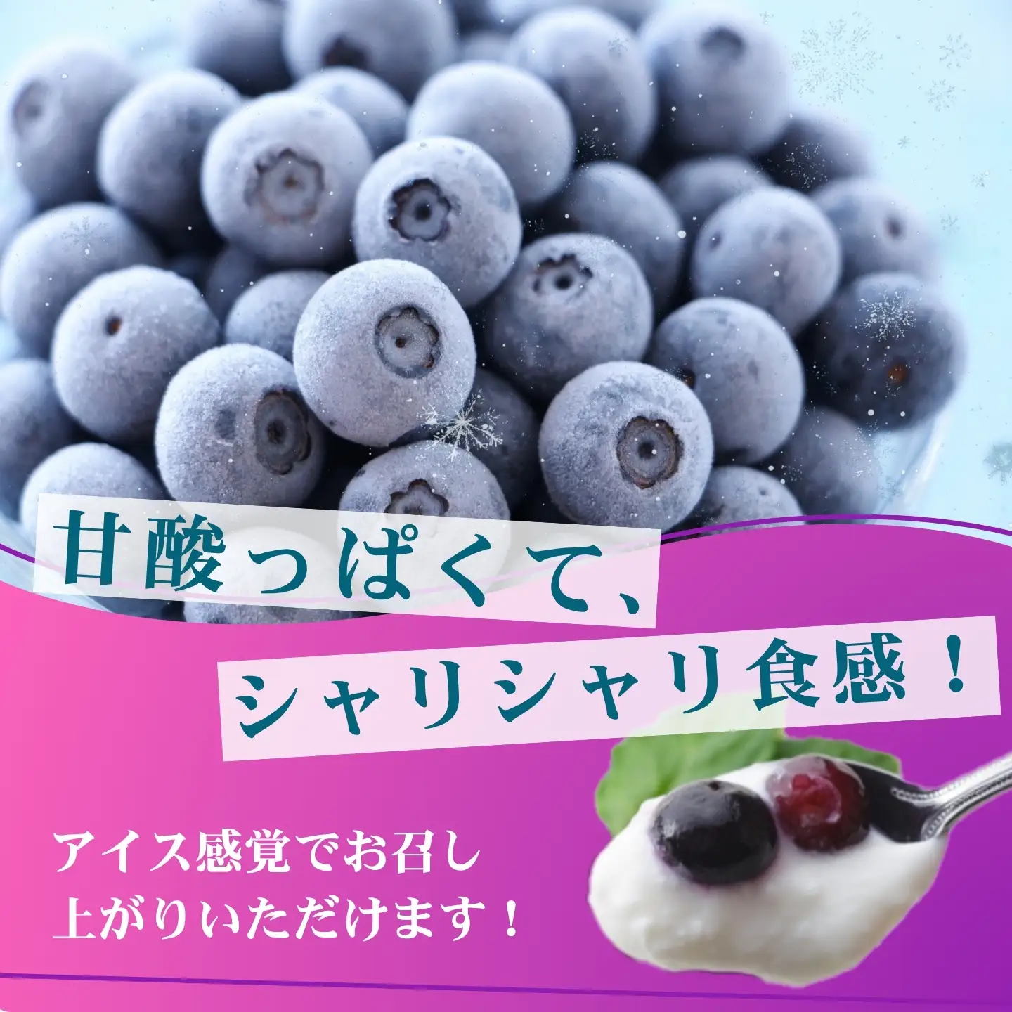 [A339-06] 冷凍ブルーベリー1000g（500g×2パック）2026年シルクファーム産