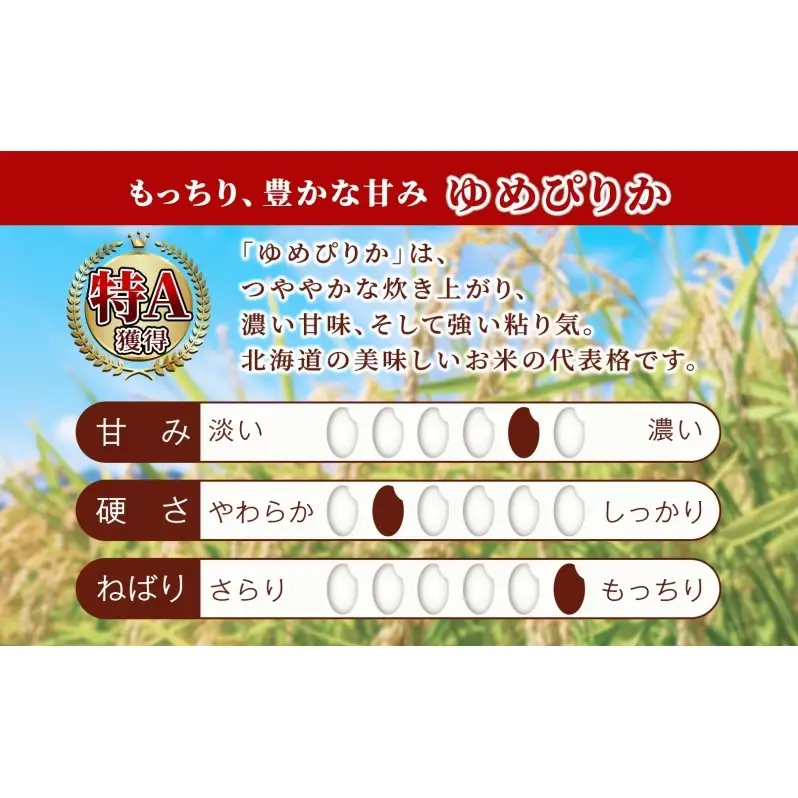 米 ゆめぴりか 精米 白米 10kg 5kg×2袋 お米