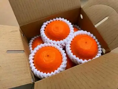 せとか 甘っ子 小玉 ハウス せとか 9玉入 手さげ箱 南泰園