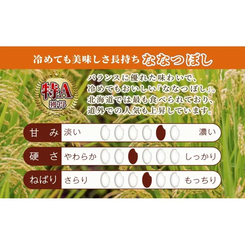 米 ななつぼし 精米 白米 10kg 5kg×2袋 お米