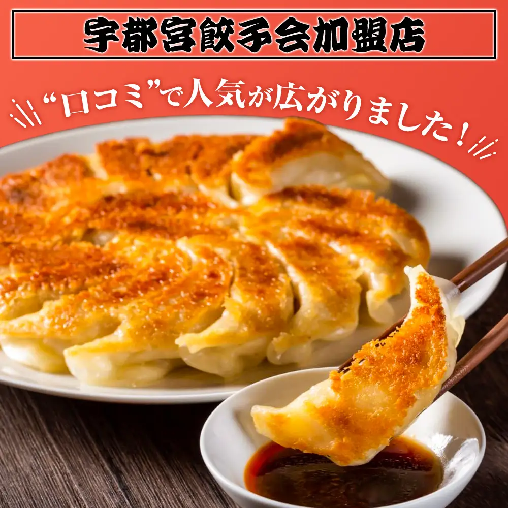 23-5【定期便3回】玉ちゃん餃子8人前（24個×2袋) | 餃子 ぎょうざ ギョウザ ギョーザ おつまみ おかず 惣菜 中華 点心 冷凍 国産 ※着日指定不可