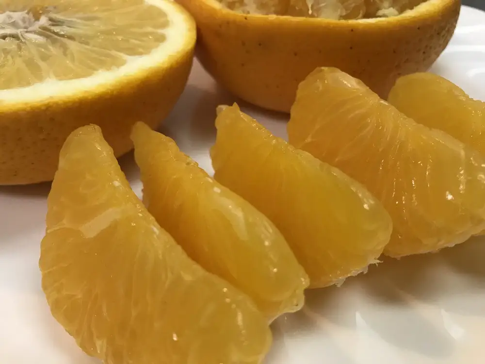 木成完熟 紅はっさく 特秀 大玉 3L × 6玉入 化粧箱 南泰園【2027年4月上旬～発送】