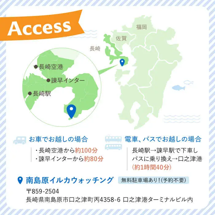 南島原 イルカウォッチング  子ども用 1人用 チケット / チケット ちけっと 体験型 観光チケット いるか イルカ イルカ体験 貸し切り いるか イルカ / 南島原市 / 南島原イルカウォッチング [SAE003]