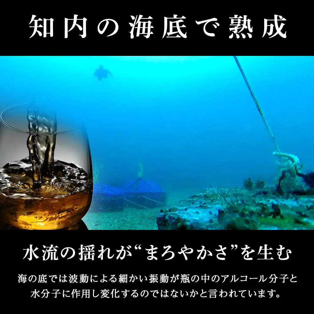 【2024年引き揚げ】知内海底熟成ウイスキー B