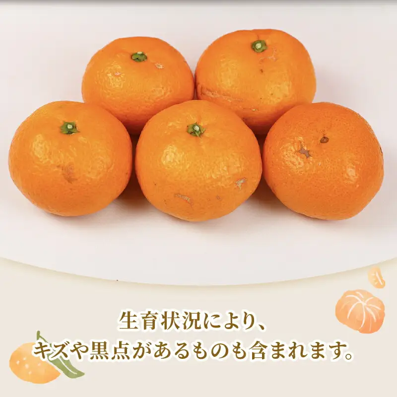 準 贈答用 みかん 南柑20号 5kg 矢野青果 温州みかん 柑橘 温州 うんしゅう 果物 くだもの フルーツ 濃厚 甘い 甘味 蜜柑 準贈答用 贈答品 贈答 ギフト プレゼント 産地直送 農家直送 数量限定 国産 愛媛 宇和島 B012-171005